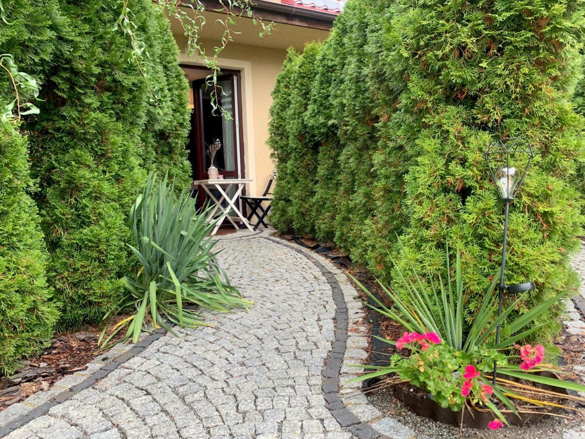 Willa Zdrój Kudowa-Zdrój Exterior foto